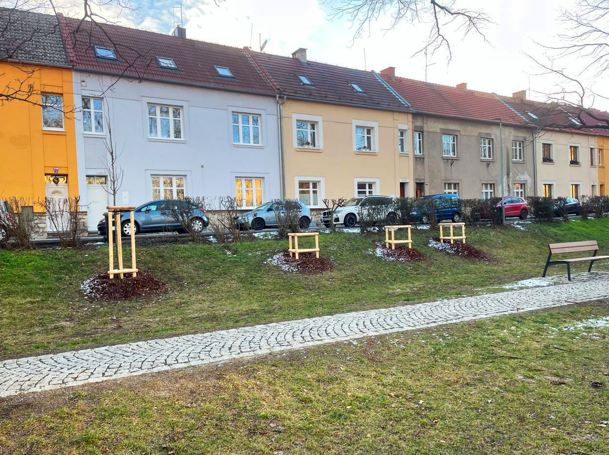 Obnova/vegetační úpravy městského parku Holárkovy sady v Lounech