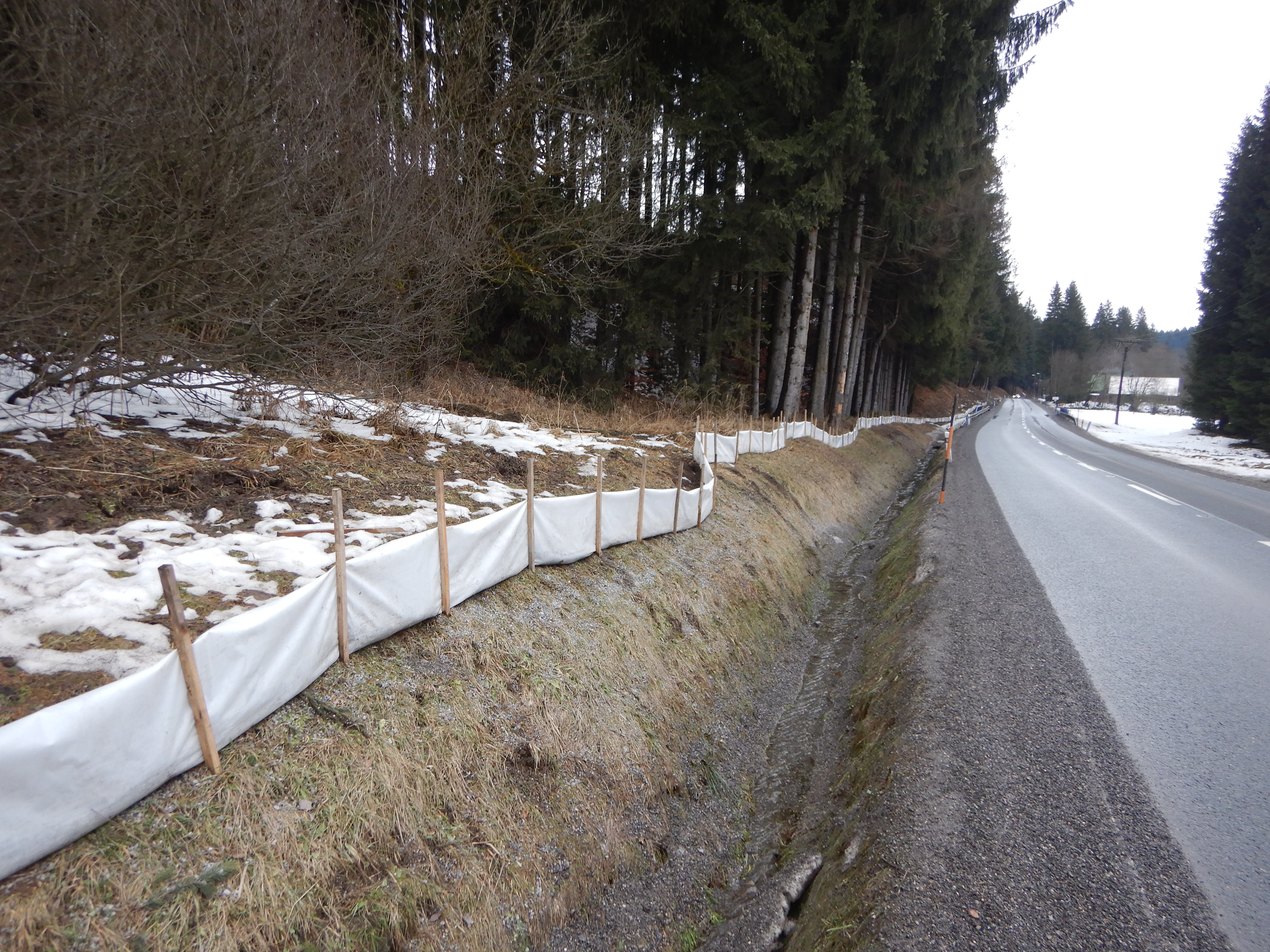 migrační bariéry před obcí Bílá