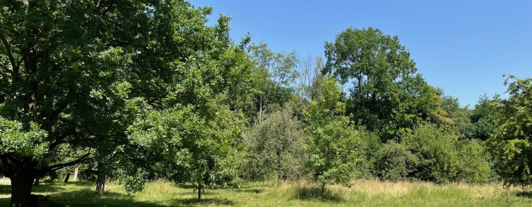 Pohled na letní zahradu informačního střediska Šargoun.