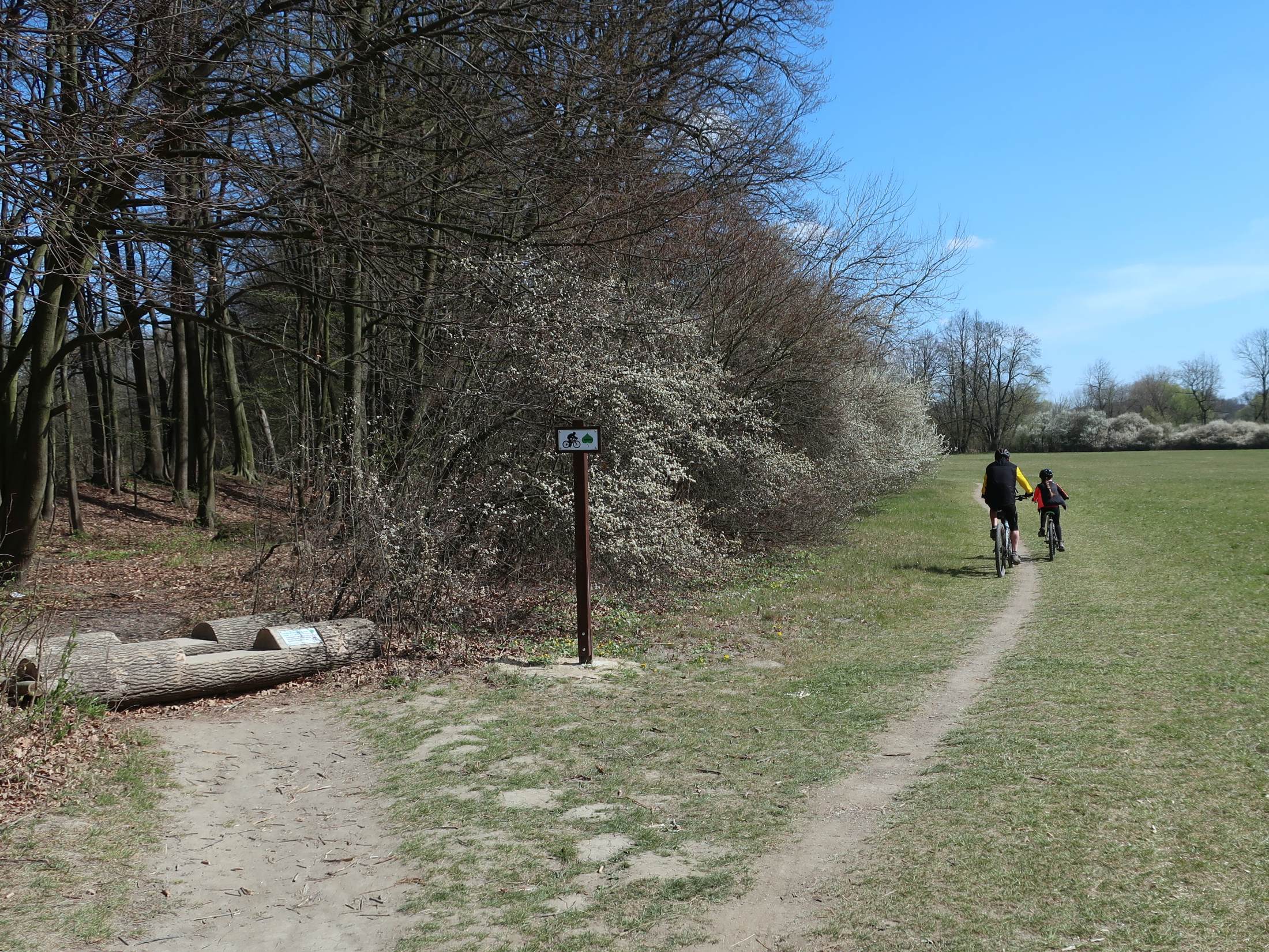 Stezka pro pěší a cyklisty se rozděluje