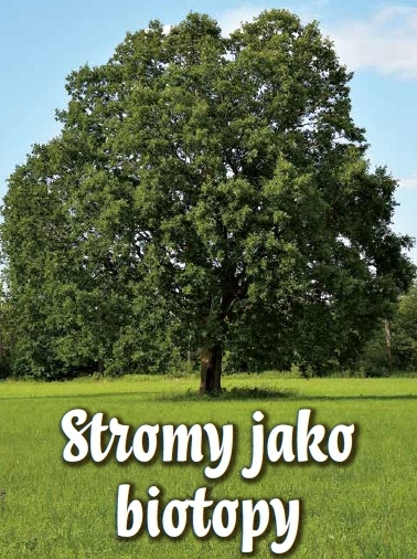 Stromy jako biotopy